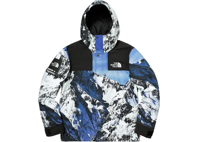 Supreme north deals face winter jacket