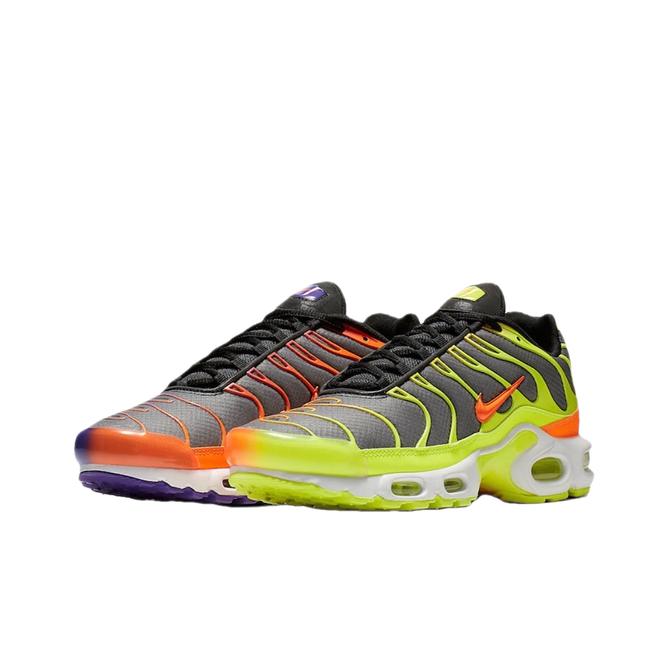 Nike Nike Air Max Tn Plus Color Flip themarket