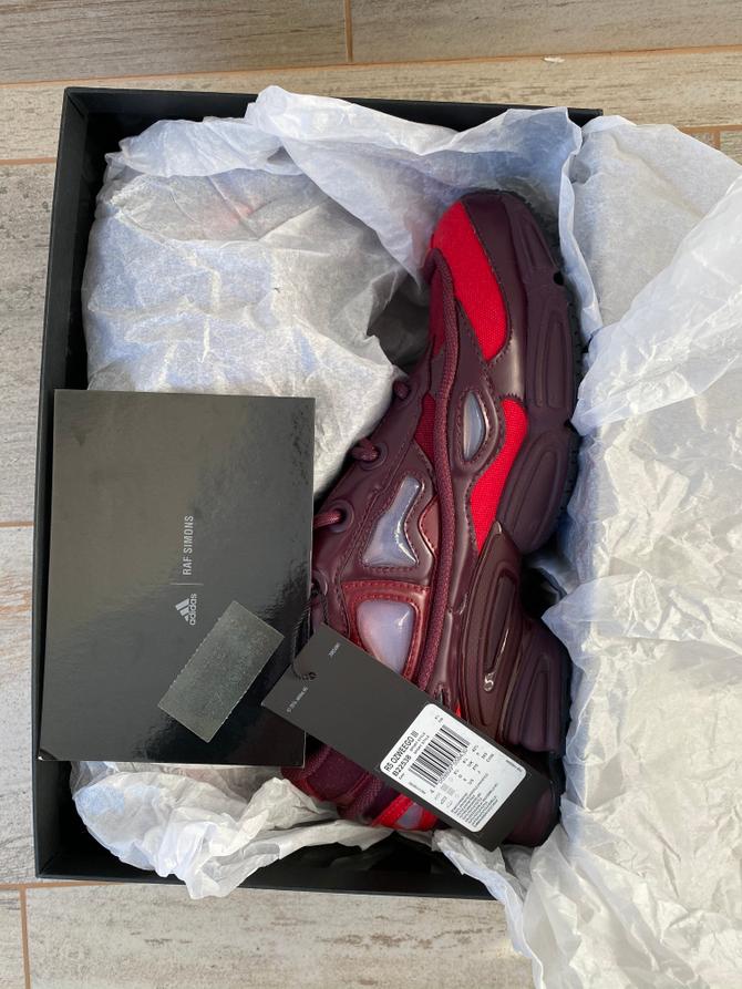 Raf 2024 simons burgundy