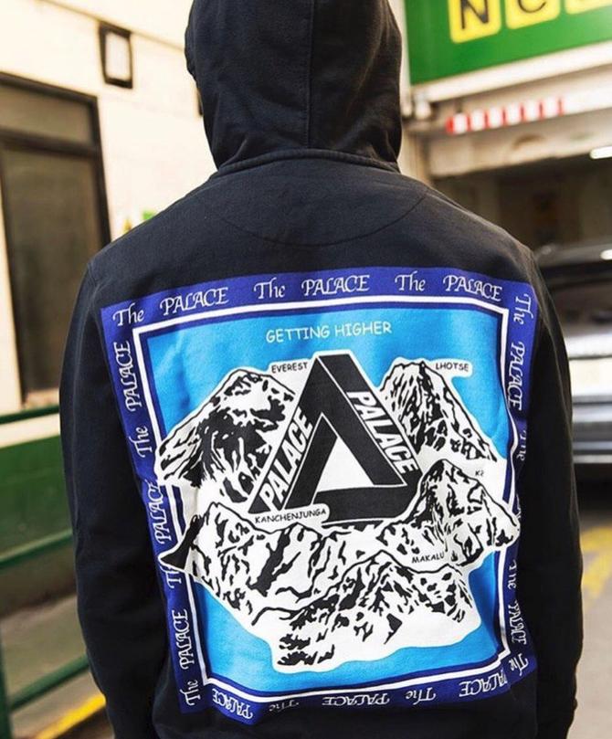 Palace getting higher discount hoodie